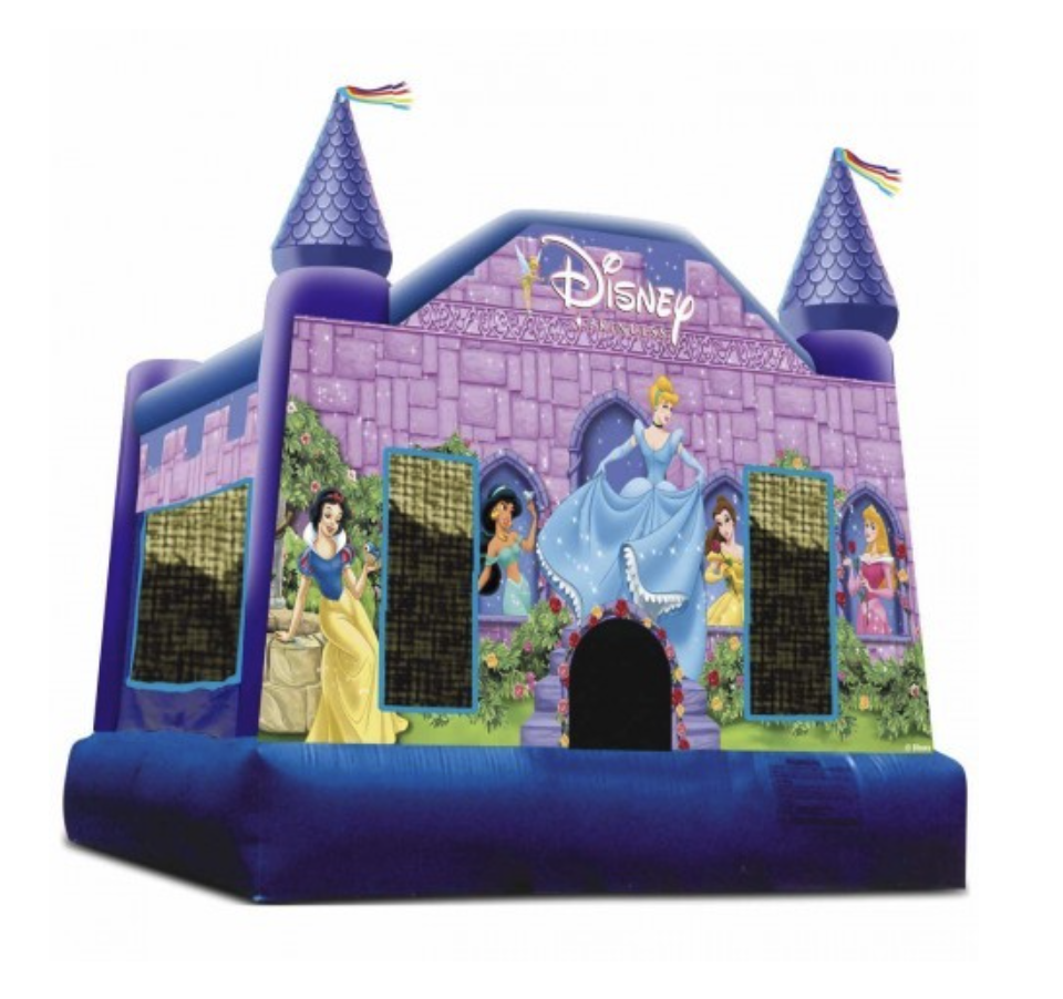 Disney Princess Castle