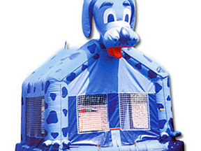 Blue Dog Jump Bounce