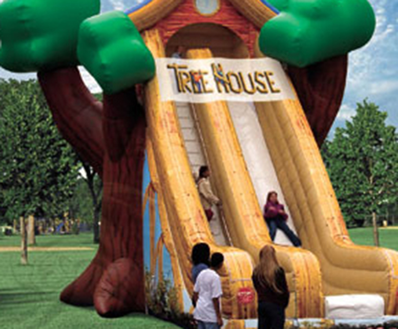 Giant Tree House Slide