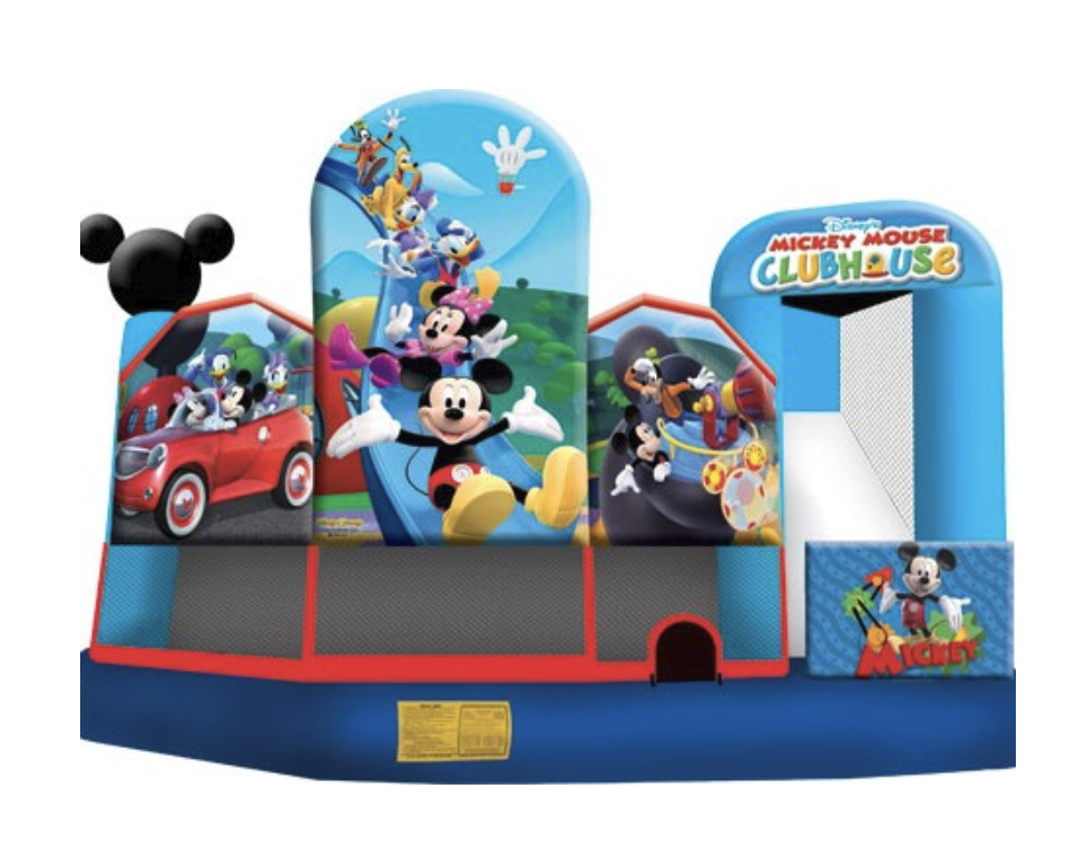 Mickey Mouse Park 5 in 1