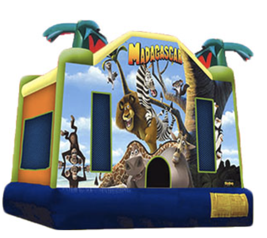 Madagascar Bounce